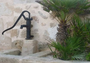 BED&BREAKFAST FAVIGNANA (15)